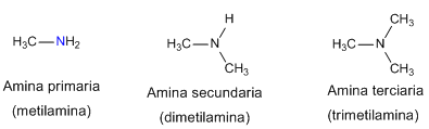 Aminas Primarias Secundarias Y Terciarias Balan